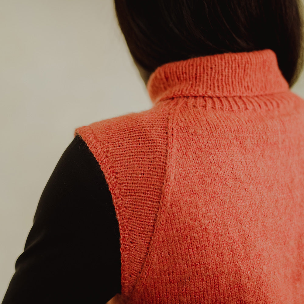 Pascuali Lamita gilet schema maglia collo alto download