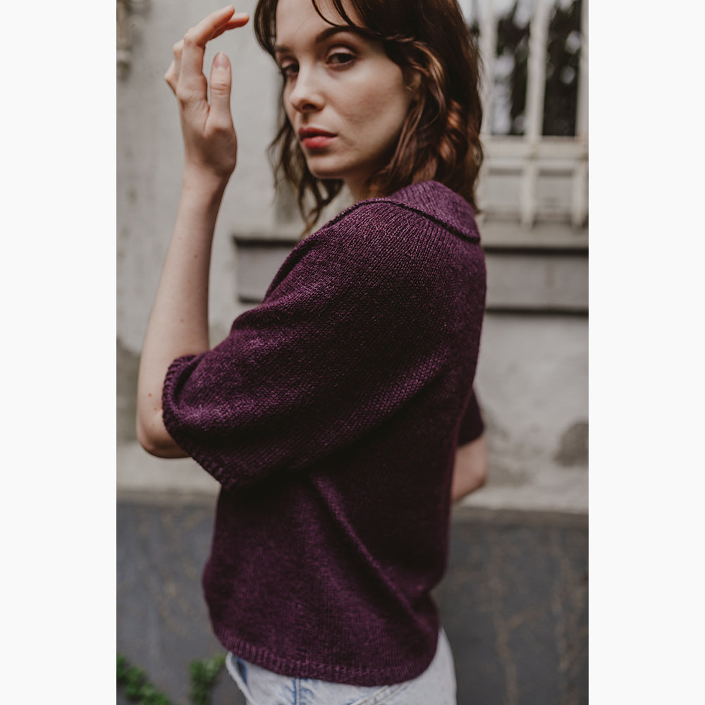 Pascuali Palja schema blouse top down manica corta PDF