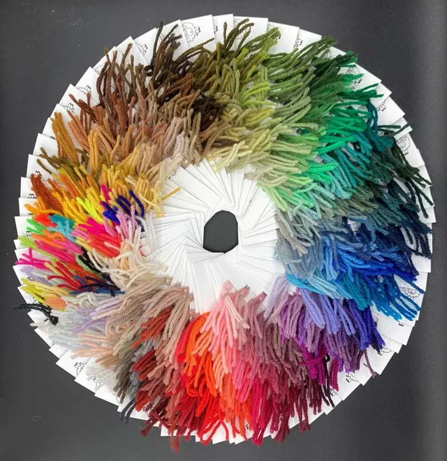Appleton Bros Shade Card cartella colori originale