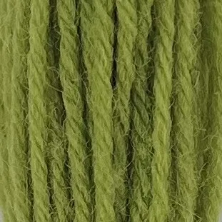 Appleton Crewel Wool 543 lana verde inglese