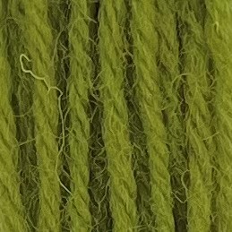 Appleton Crewel Wool 253 lana da ricamo verde erba