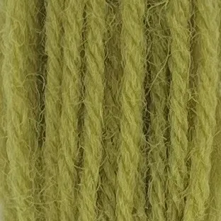 Appleton Bros Crewel Wool 251 lana da ricamo verde erba