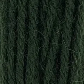 Appleton Crewel Wool 407 filato lana verde Sea Green