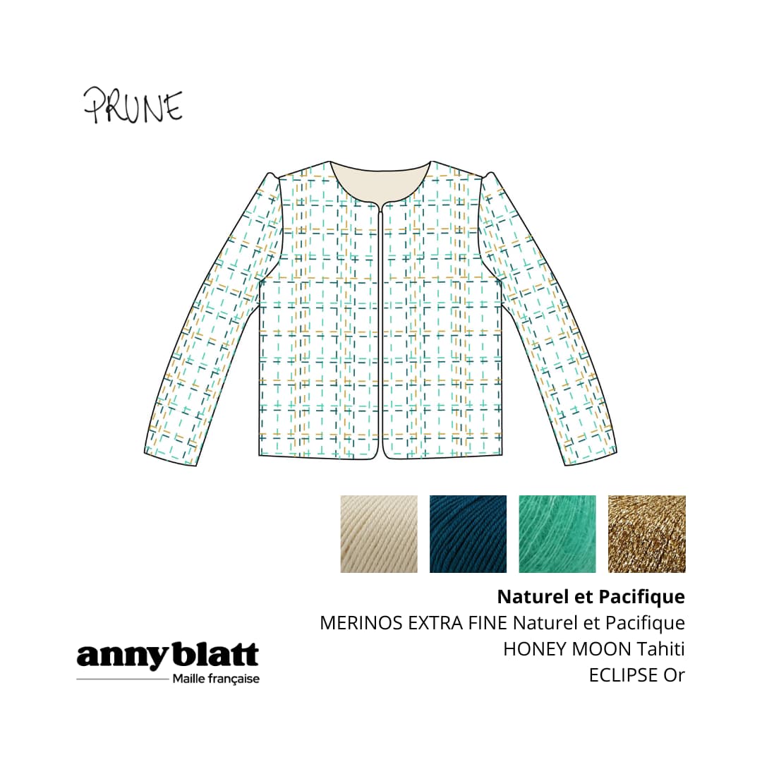 Anny Blatt Prune kit giacca maglia lana merinos