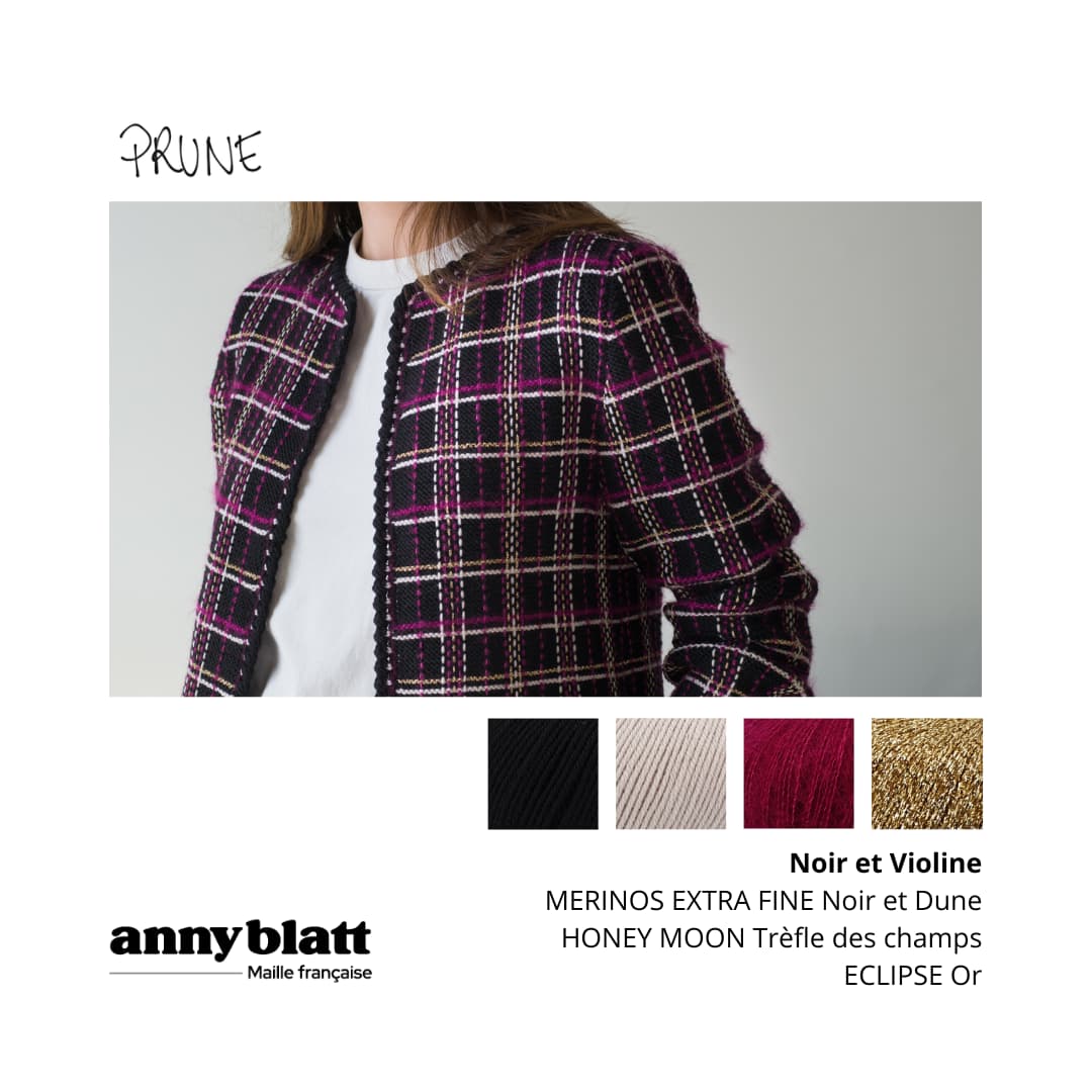 Anny Blatt Prune kit giacca maglia lana merinos