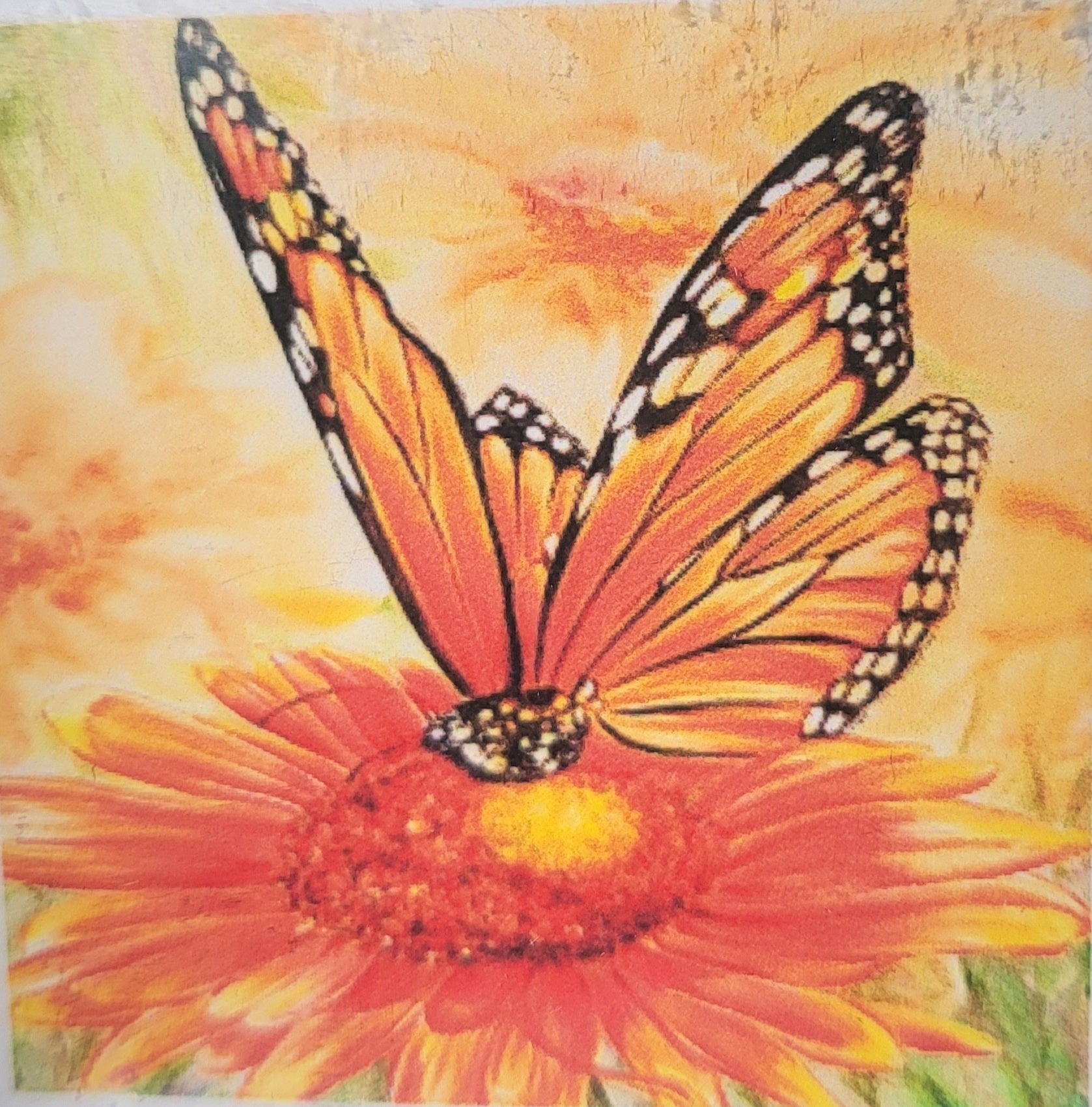 Il Filo di Arianna Tela 20x20 Diamond Painting disegno centrale