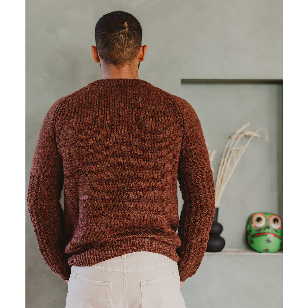 Pascuali Finus schema pullover download alpaca top-down