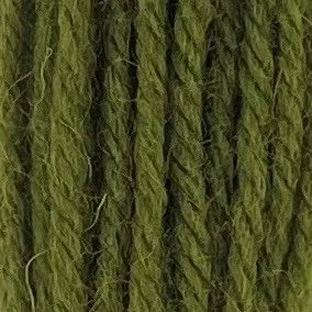 Appleton Bros Crewel Wool 255 lana da ricamo verde erba