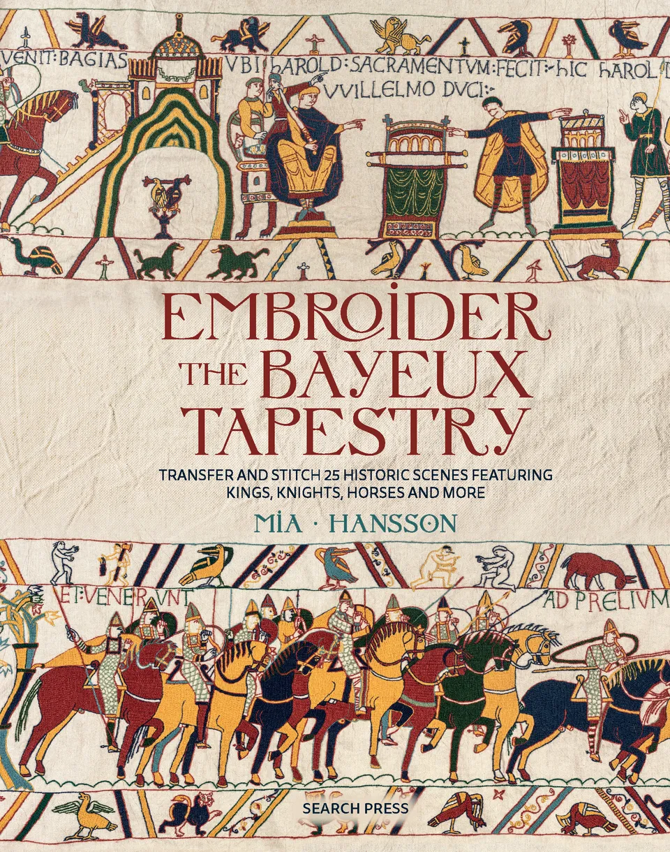 Appleton Embroider the Bayeux Tapestry libro ricamo arazzo