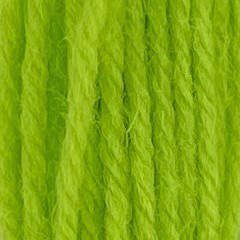 Appleton Crewel Wool 685 filato lana verde sherbet