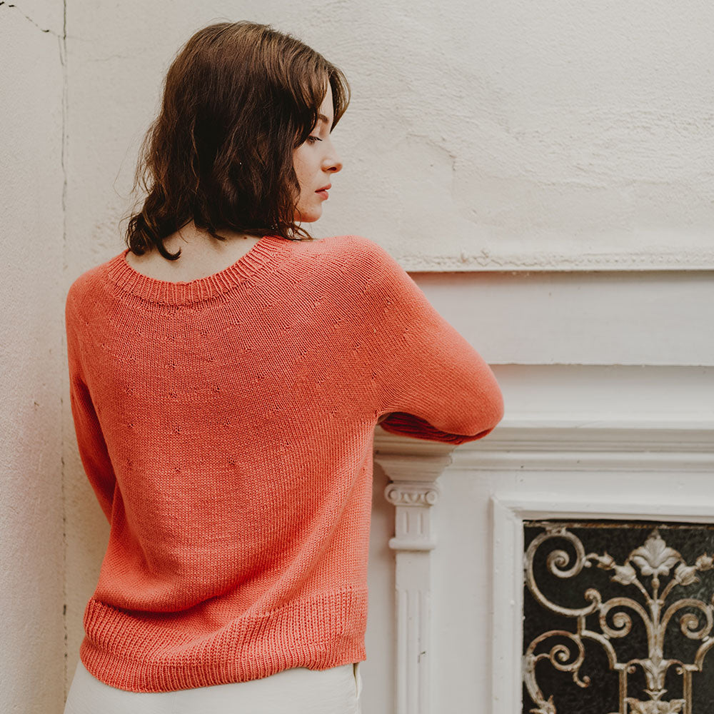 Pascuali Nilsa Pullover schema maglione download top-down