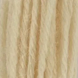 Appleton Crewel Wool 881 lana da ricamo bianco crema