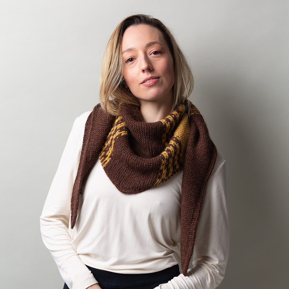 Pascuali Campi di Miele Shawl schema maglia mosaico