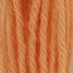 Appleton Crewel Wool 861 lana da ricamo corallo