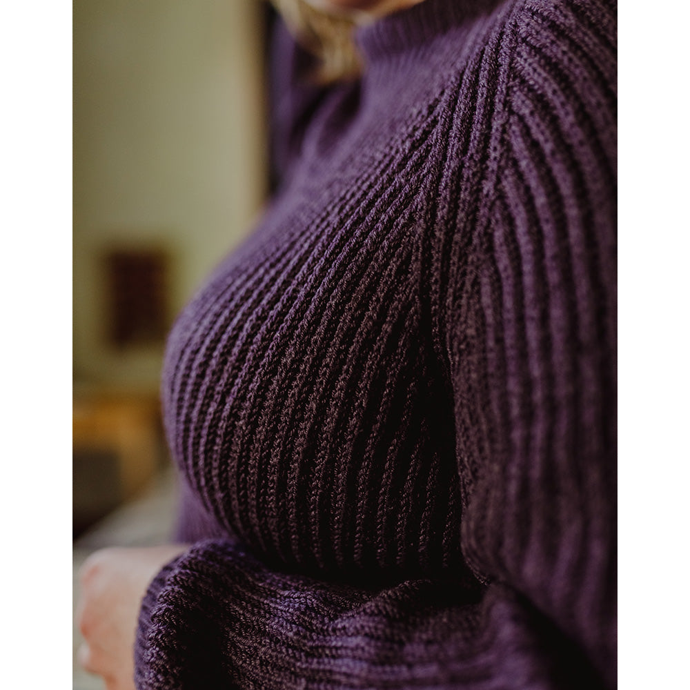 Pascuali Adelita schema pullover raglan lana PDF
