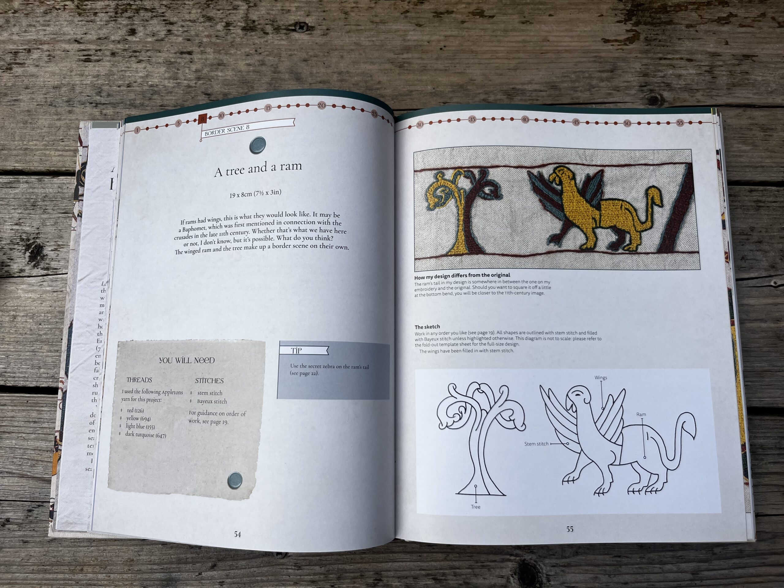 Appleton Embroider the Bayeux Tapestry libro ricamo arazzo