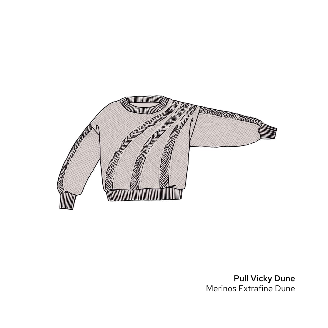Anny Blatt Vicky kit maglia merino girocollo