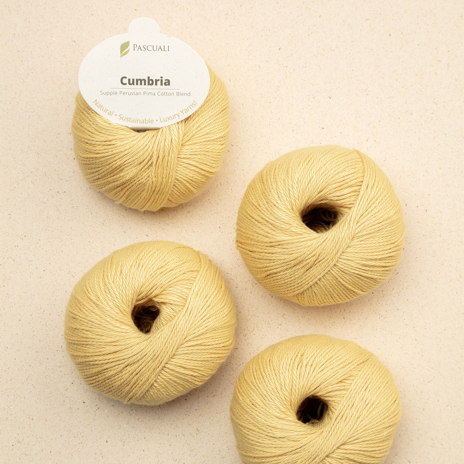 Pascuali Cumbria filato cotone Pima e bamboo vegano