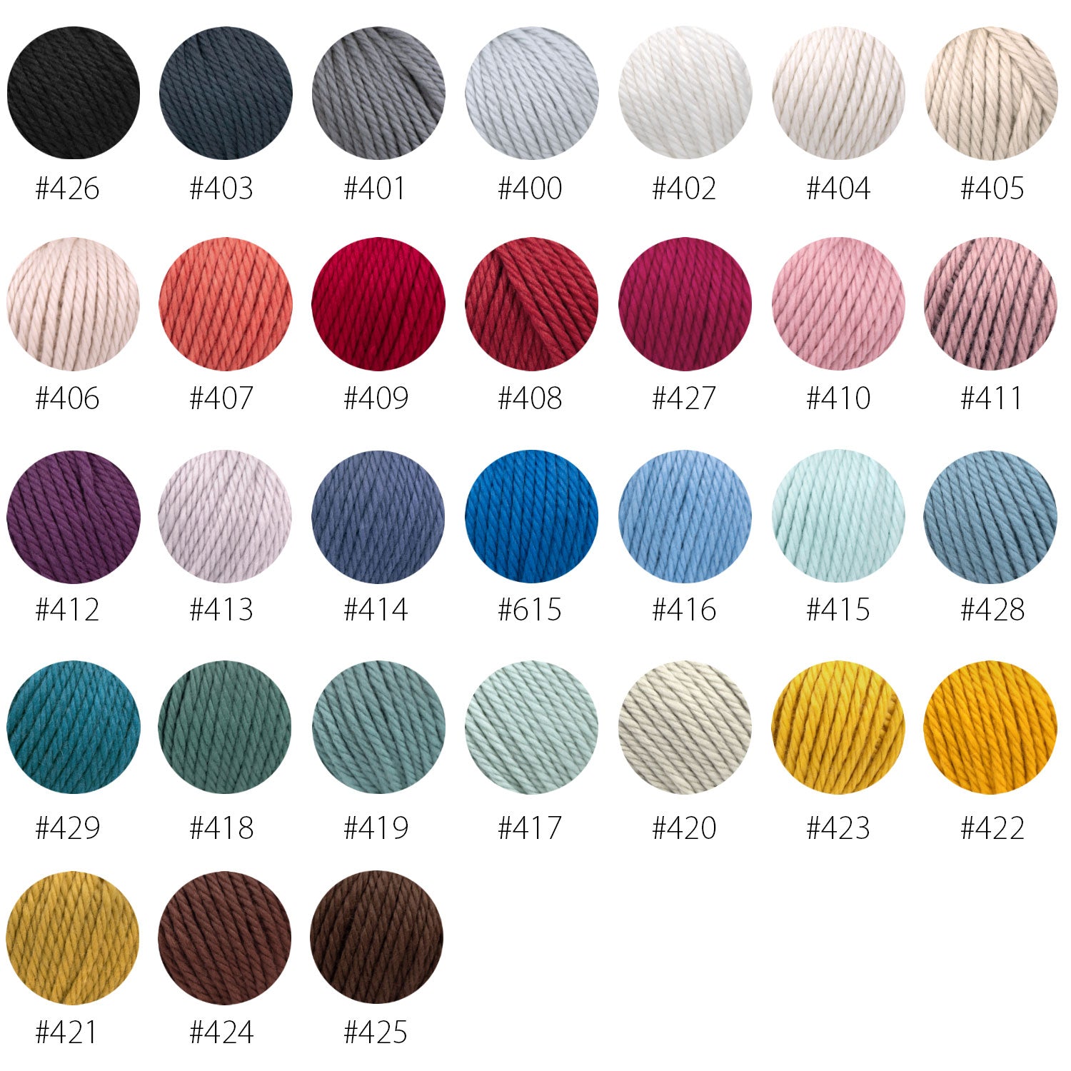 Pascuali Maximo filato merino chunky spesso lavabile