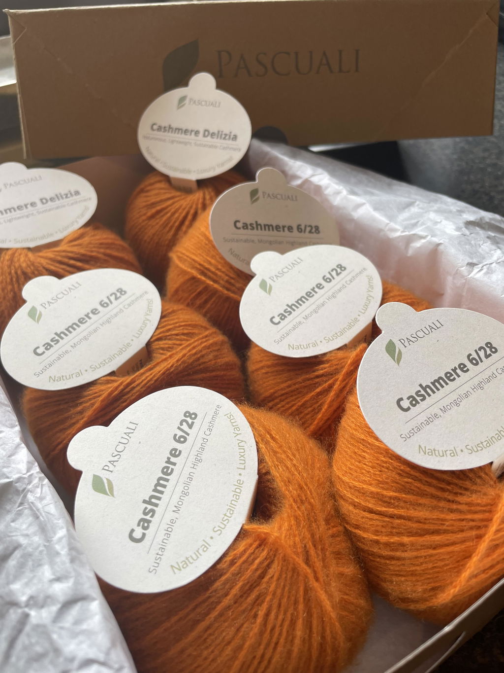 Pascuali Cashmere 6/28 filato cashmere