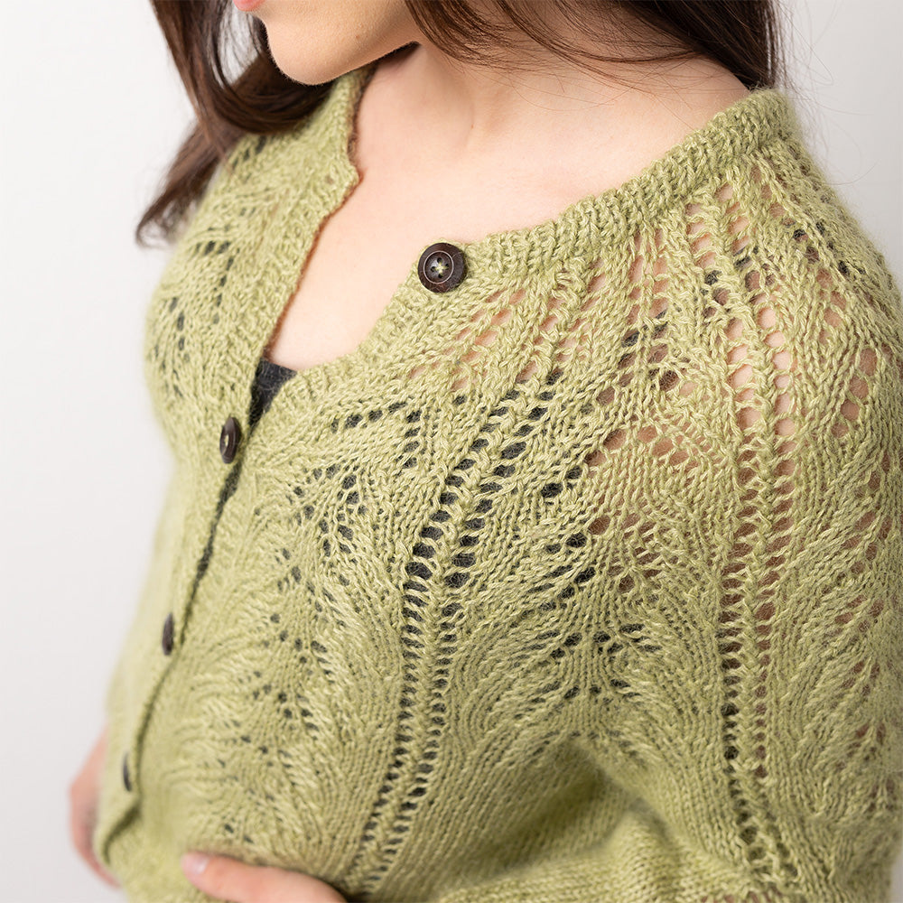 Pascuali Eyed Fern schema cardigan traforato