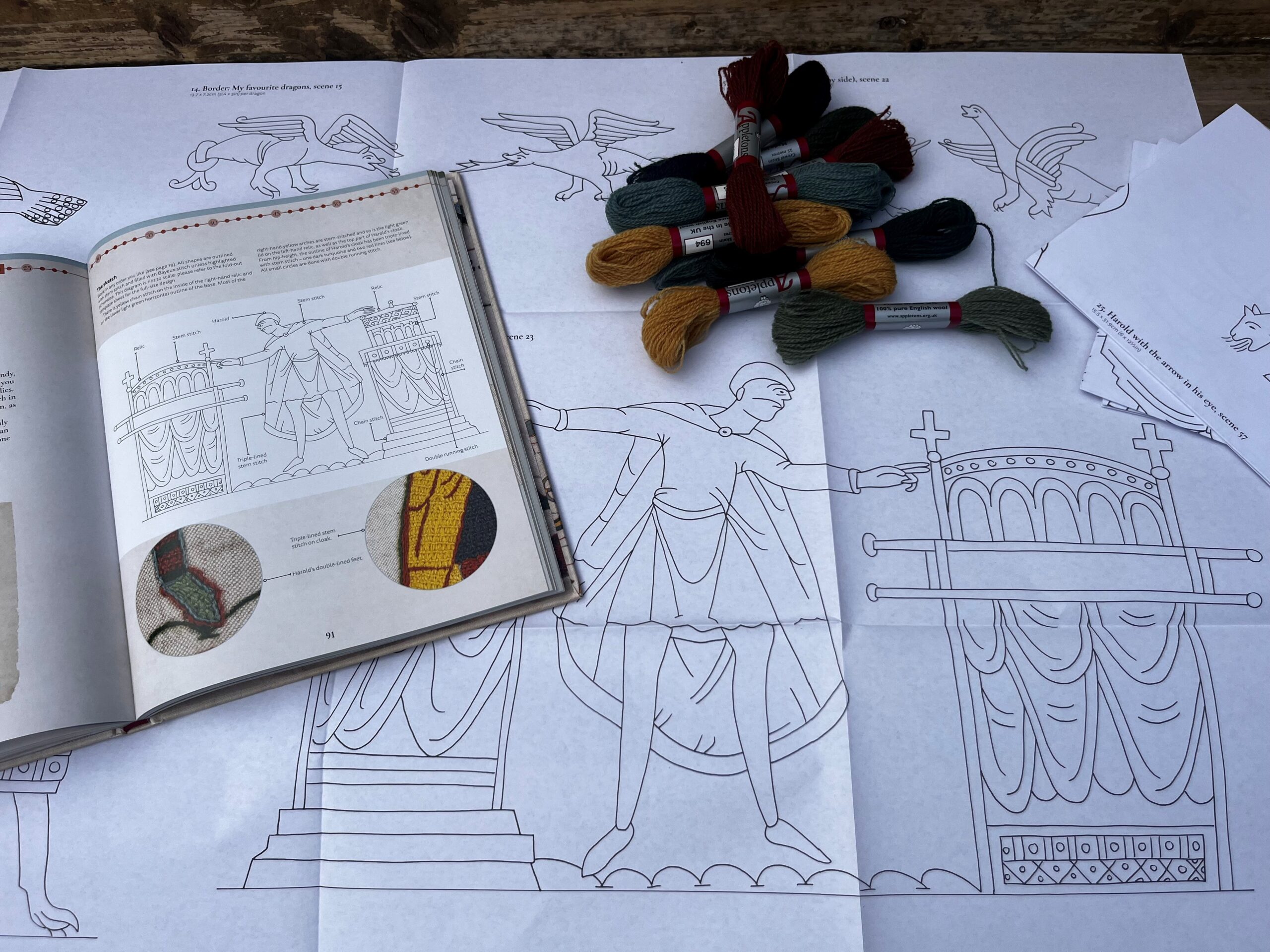 Appleton Embroider the Bayeux Tapestry libro ricamo arazzo