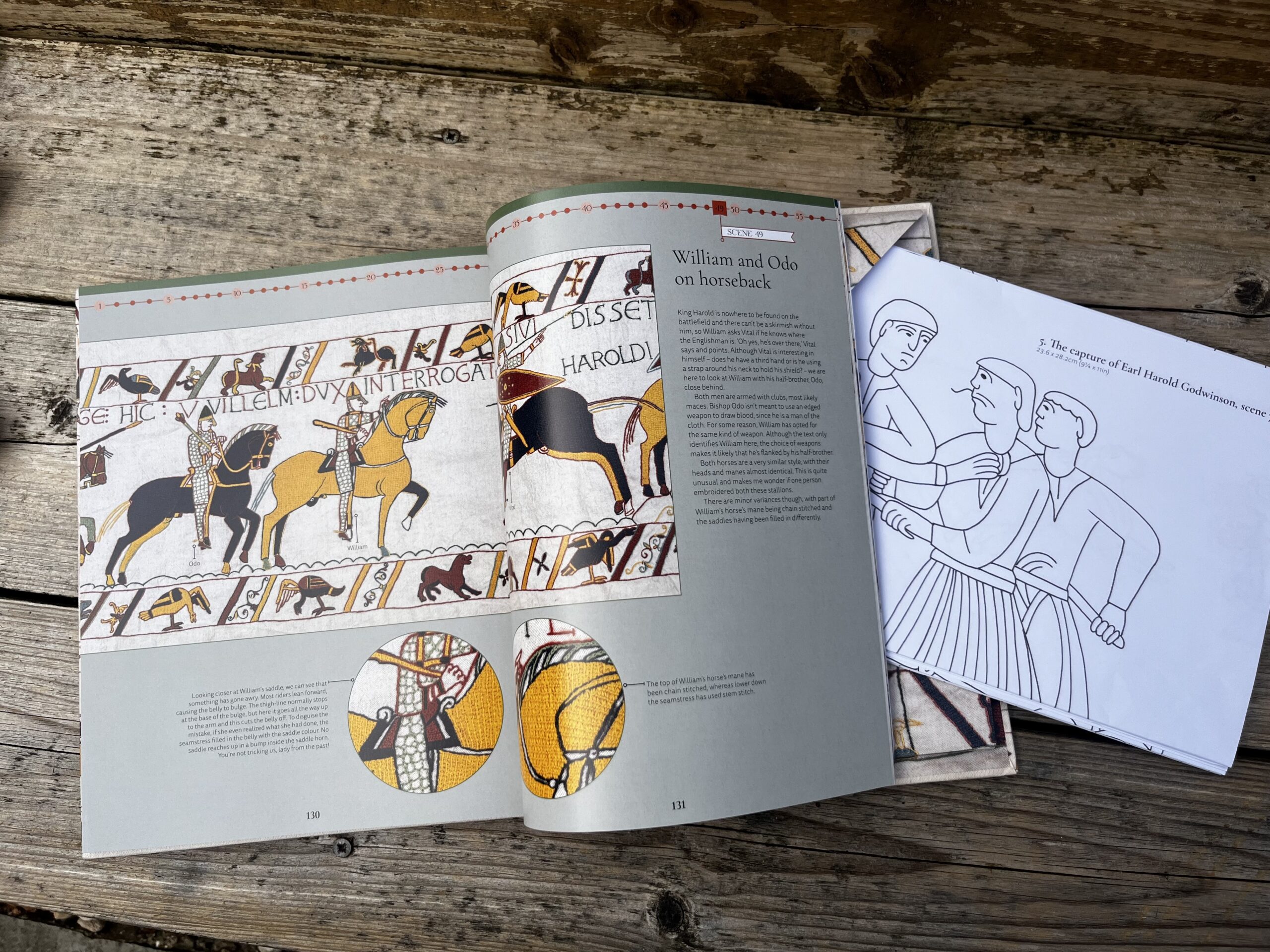 Appleton Embroider the Bayeux Tapestry libro ricamo arazzo