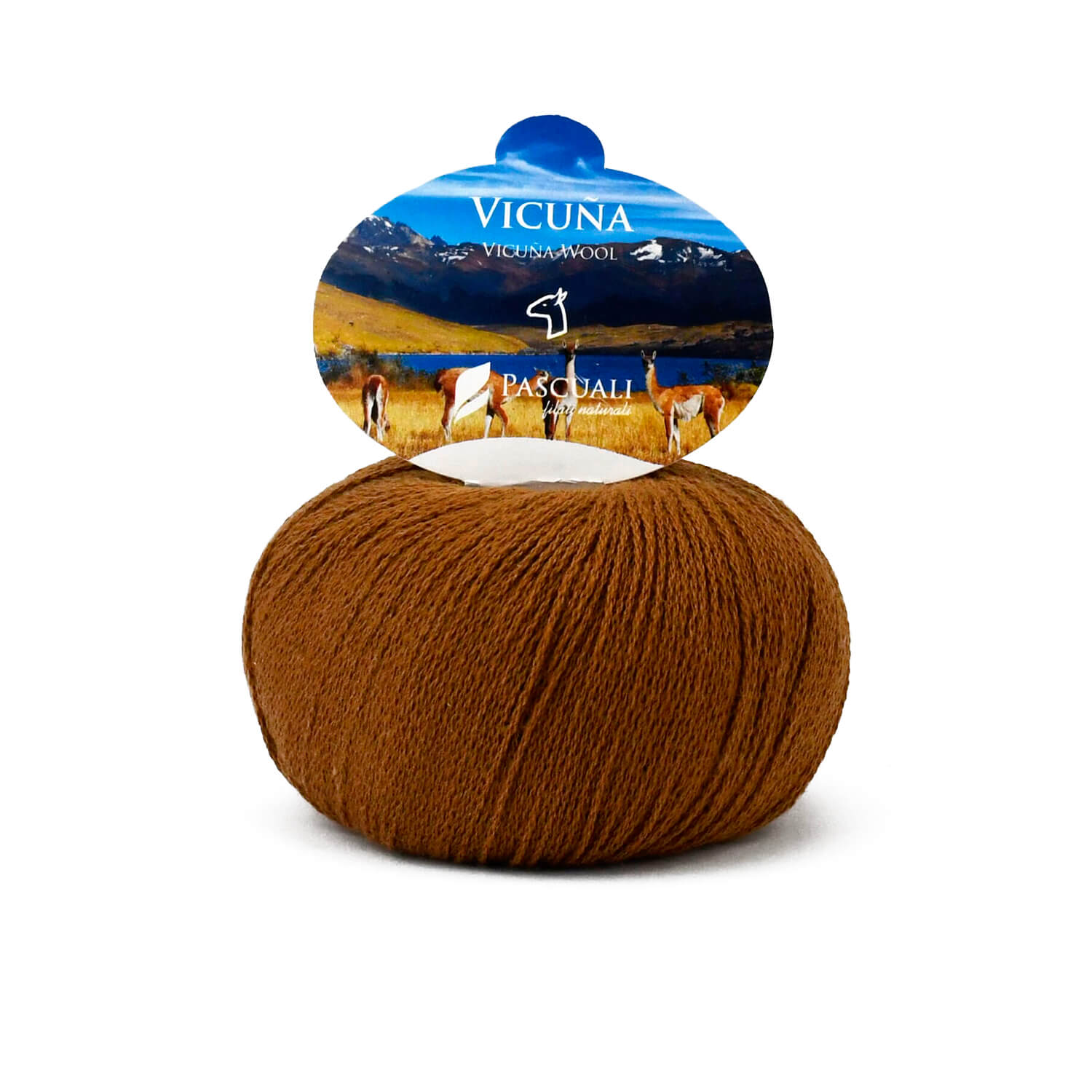 Pascuali Vicuña filato vicuña 100% naturale pregiato