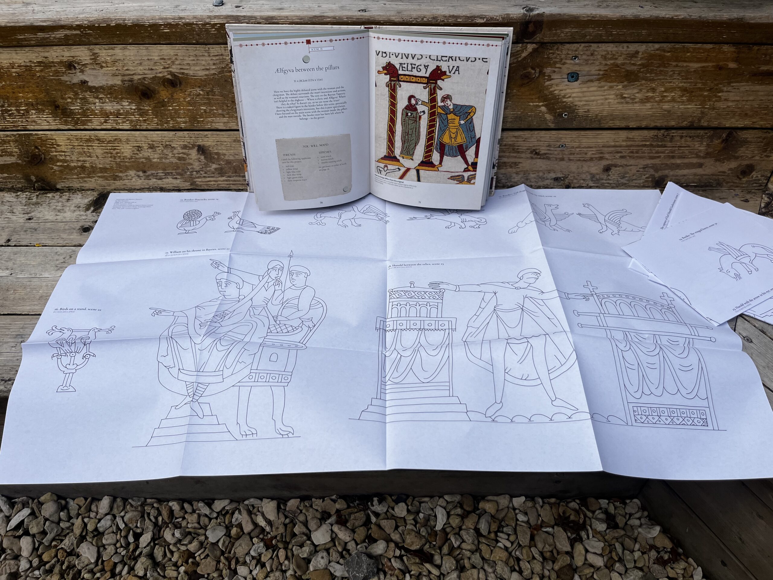 Appleton Embroider the Bayeux Tapestry libro ricamo arazzo