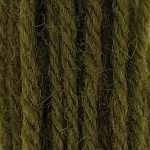 Appleton Crewel Wool 244 lana da ricamo verde oliva