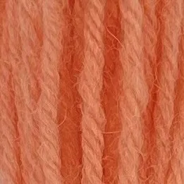 Appleton Crewel Wool 622 filo lana flamingo