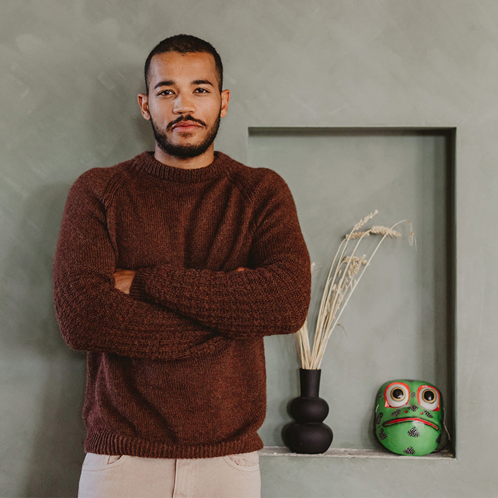 Pascuali Finus schema pullover download alpaca top-down