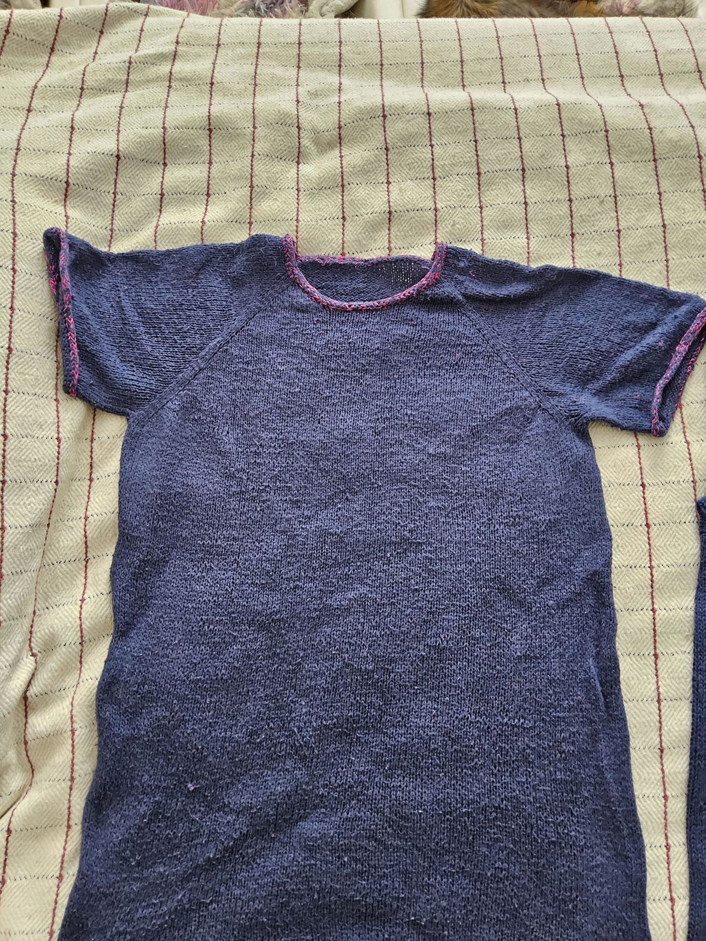 Pascuali Suave filato cotone bio
