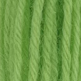 Appleton Crewel 422 filo lana da ricamo Leaf Green tinta unita