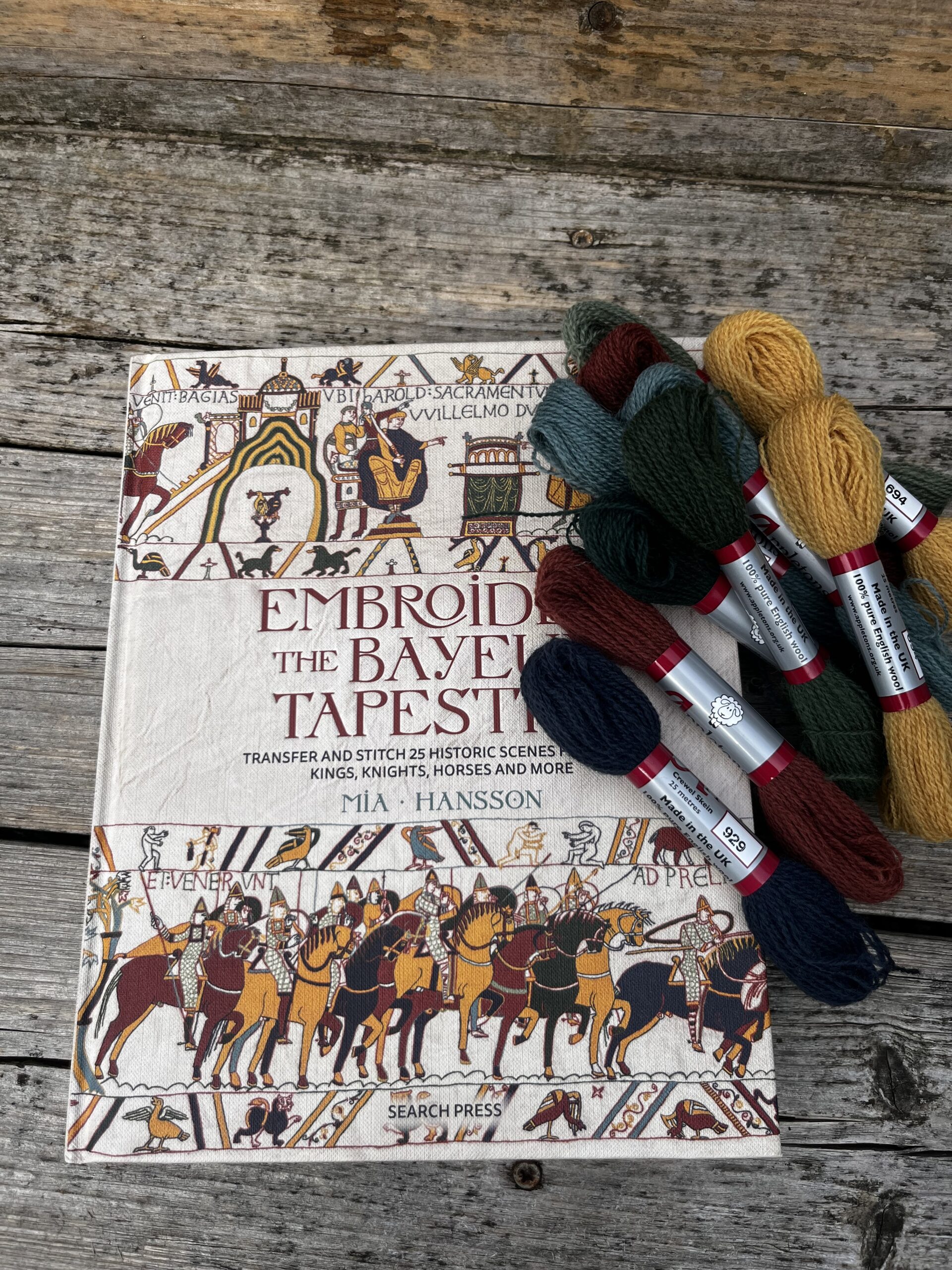 Appleton Embroider the Bayeux Tapestry libro ricamo arazzo