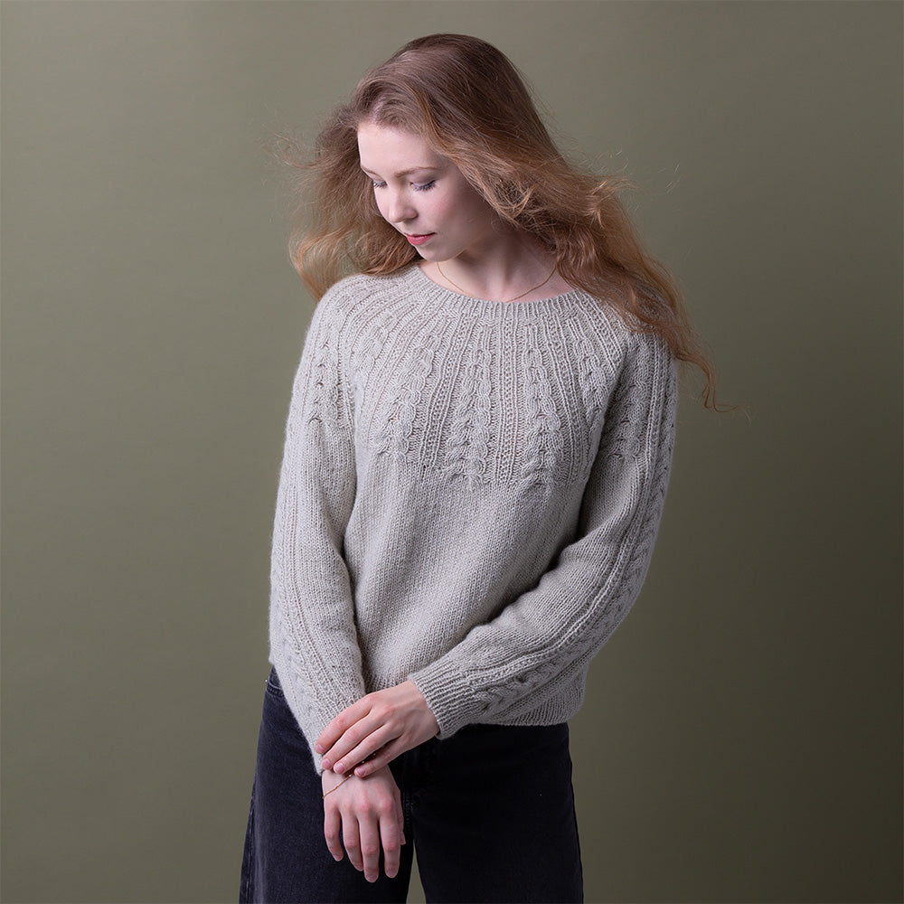 Pascuali Winter Sunbeams Schema Maglia Maglione Top Down