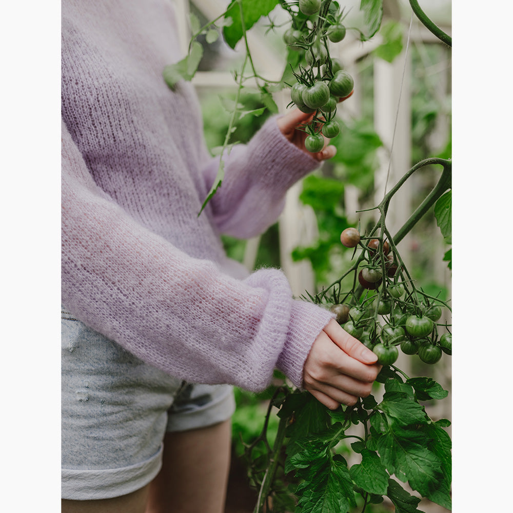 Pascuali Luela schema maglia pullover mohair raglan