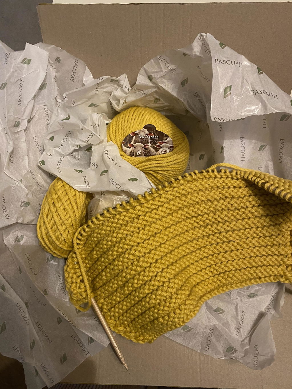 Pascuali Maximo filato merino chunky spesso lavabile