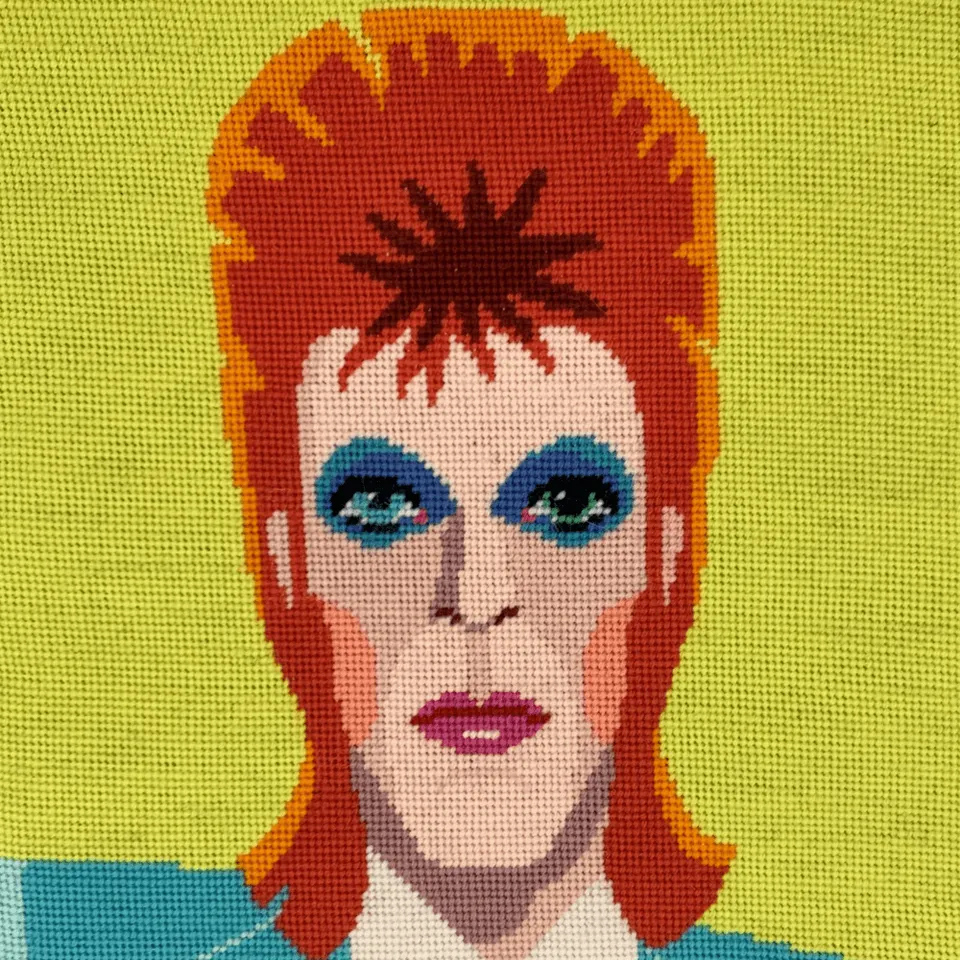 Appleton David Bowie kit arazzo lana ricamo