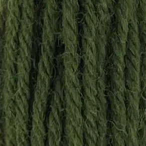 Appleton Bros Crewel Wool 357 lana da ricamo verde tinta unita