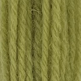 Appleton Crewel Wool 251a lana da ricamo verde erba