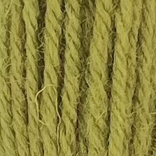 Appleton Crewel 241 lana da ricamo verde oliva matassina