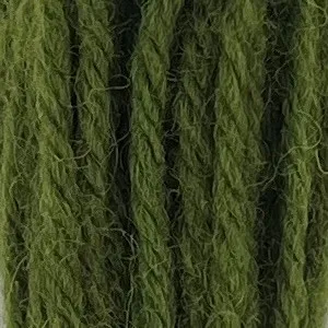 Appleton Crewel Wool 256 lana verde erba tinta unita