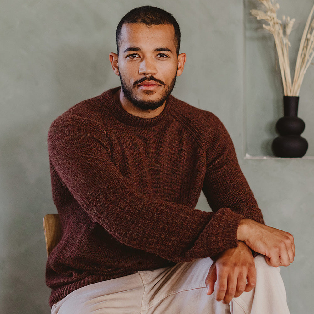 Pascuali Finus schema pullover download alpaca top-down