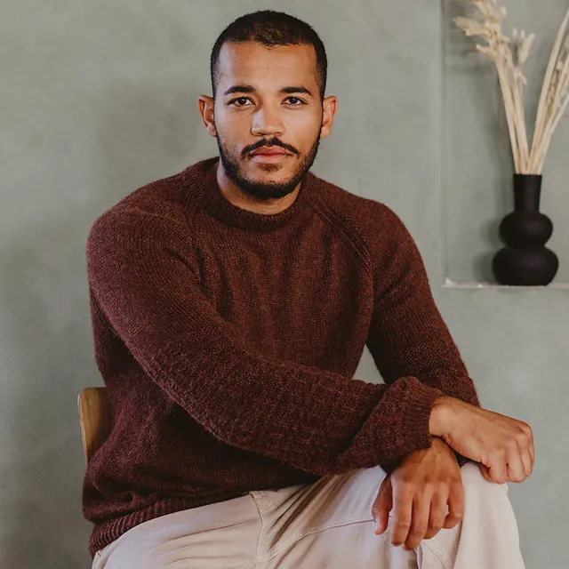 Pascuali Finus schema pullover download alpaca top-down