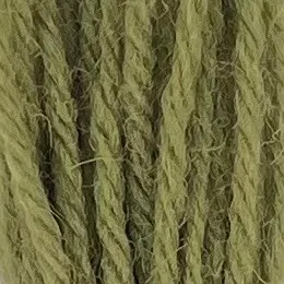 Appleton Crewel 343 filato lana verde oliva medio