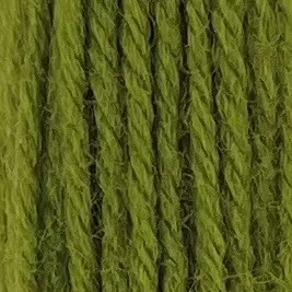 Appleton Bros. Crewel Wool 254 lana da ricamo Grass Green tinta unita