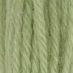 Appleton Bros Crewel Wool 874 lana da ricamo verde pastello
