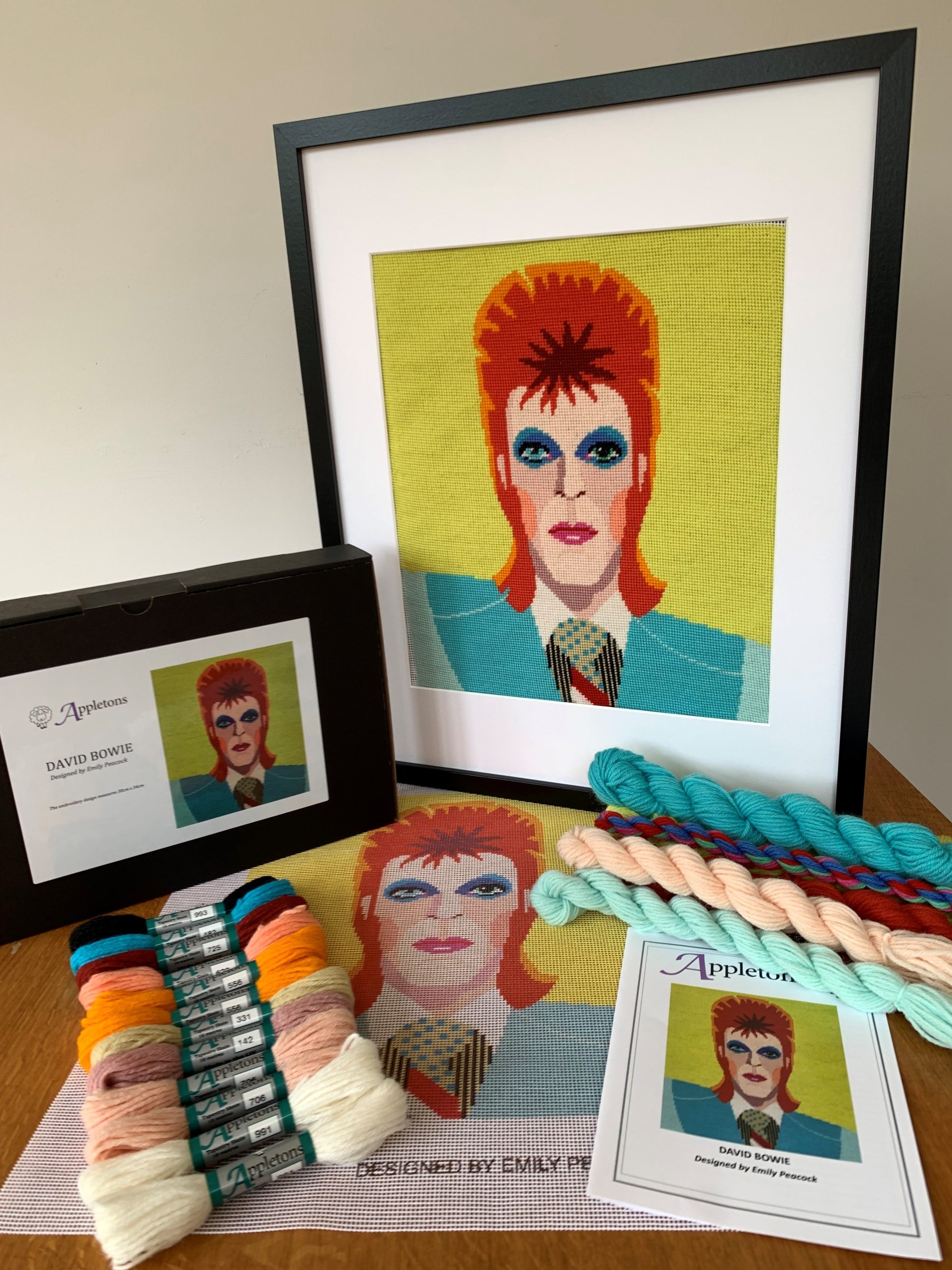 Appleton David Bowie kit arazzo lana ricamo