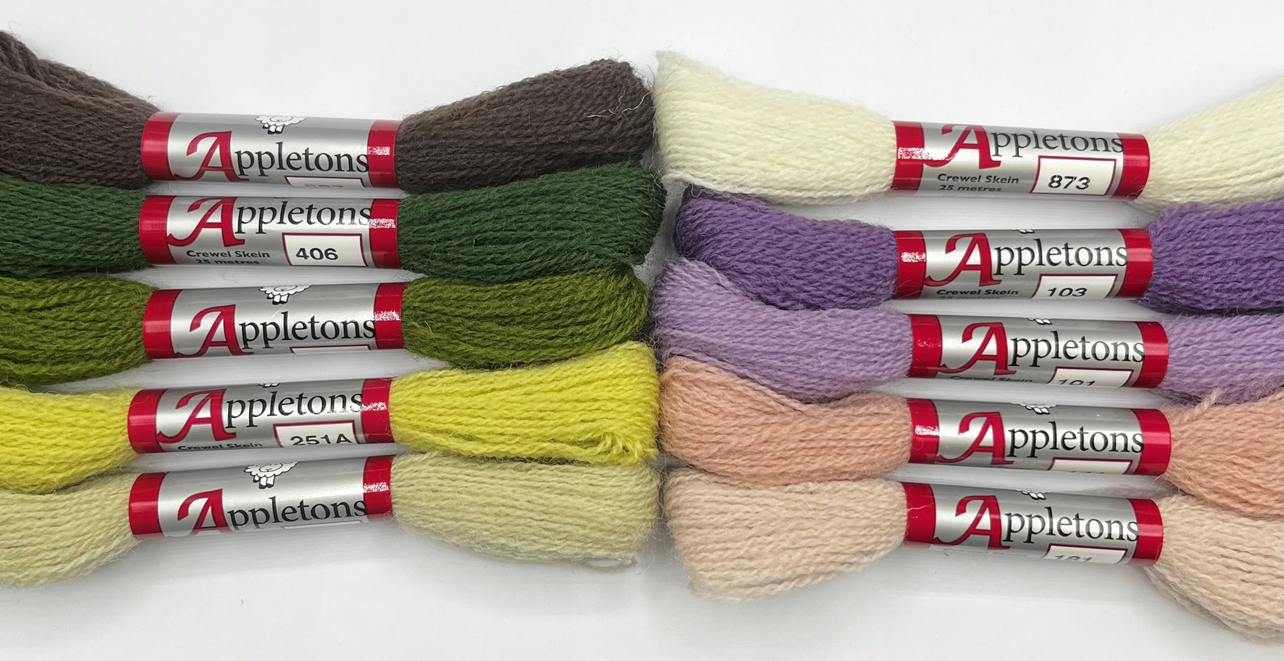 Appleton Autumn Crewel set lane ricamo toni autunnali